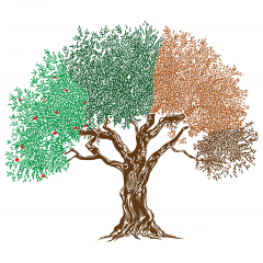 Hope and Healing Alliance